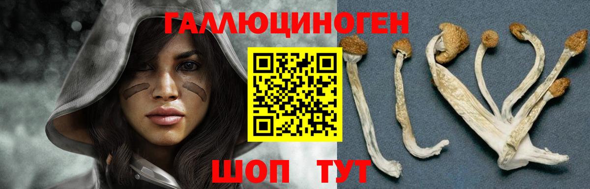 Кандалакша  Псилоцибиновые грибы Cubensis  Вход с VPN 